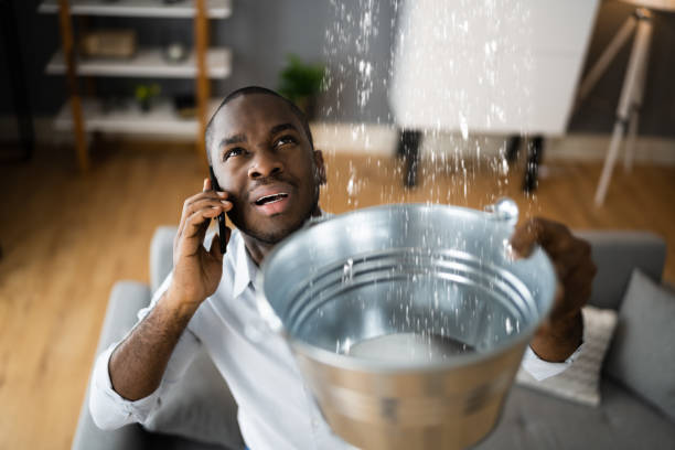 Best Water damage restoration mold remediation  in Briar, TX