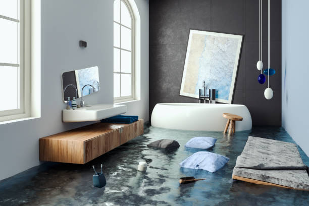  Briar, TX Water damage restoration Pros