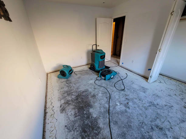 Best Water damage restoration experts  in Briar, TX