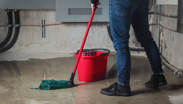 Best Flood damage cleanup  in Briar, TX