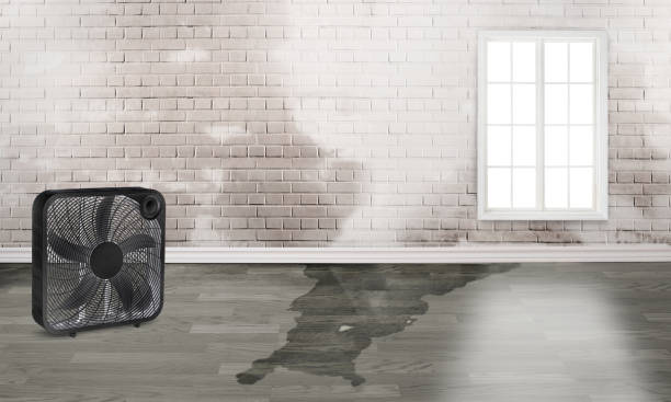 Briar, TX Water damage restoration Company